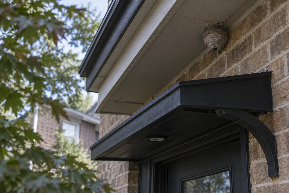 Illustrative paper nest beneath the eave of a brick home